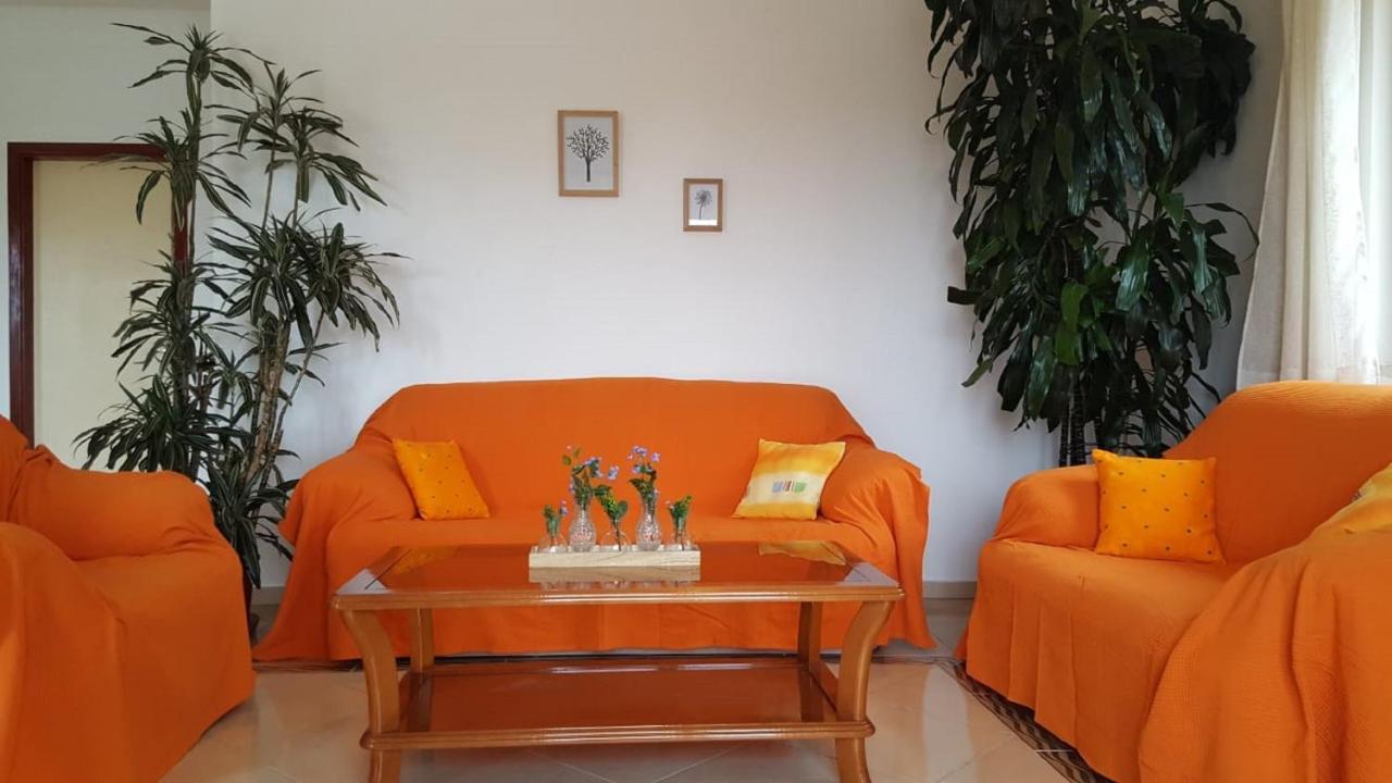 Bodul Vacation Apartment Zaton  Exteriör bild