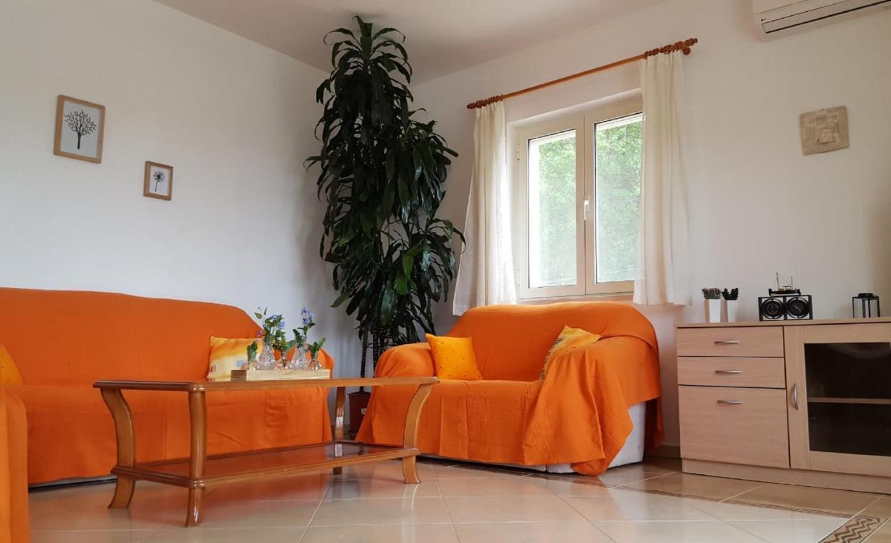 Bodul Vacation Apartment Zaton  Exteriör bild